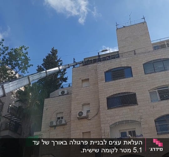 מנוף ליד בניין גבוה עם עצים ברקע